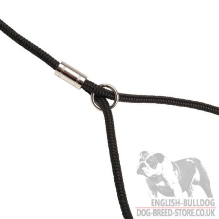 Bulldog Show Lead and Collar of Round Nylon 2-in-1