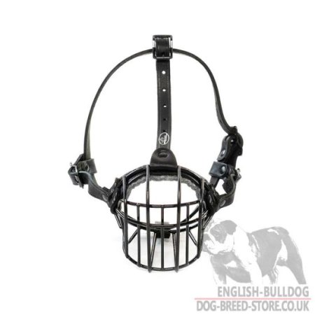 Dog Muzzle for Bullmastiff Walking and Training in Every Season