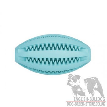 Dental Care Dog Toy "Denta Fun Rugby Ball" with Mint Flavor for Bulldog