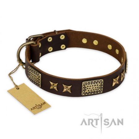 Leather Collar for English Bulldog "Sparkling Bronze" FDT Artisan