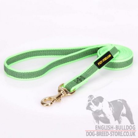 Best Bulldog Leash of Green Nylon with Nonslip Rubber Threads