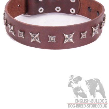 British Bulldog Collar of Brown Leather "Stellar Fairy" FDT Artisan