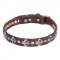 English Bulldog Leather Collar with Flower-de-Luce Unique Design