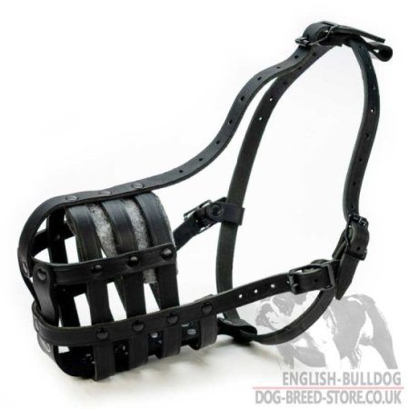 Muzzle for a Mastiff Dog Walking, Training and Traveling