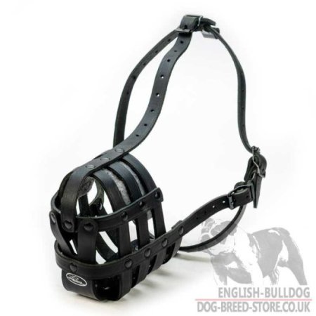 Muzzle for a Mastiff Dog Walking, Training and Traveling