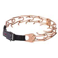 Keep Control of Your Bulldog with Obedience Curogan Pinch Collar