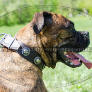 Boxer Leather Dog Collar with Vintage Conchos for Daily Use