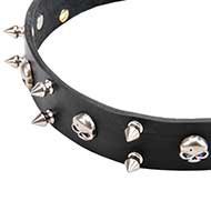 Biker Style English Bulldog Leather Dog Collar Skulls and Spikes