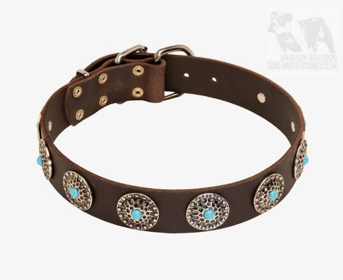 Boxer Dog Leather Collars