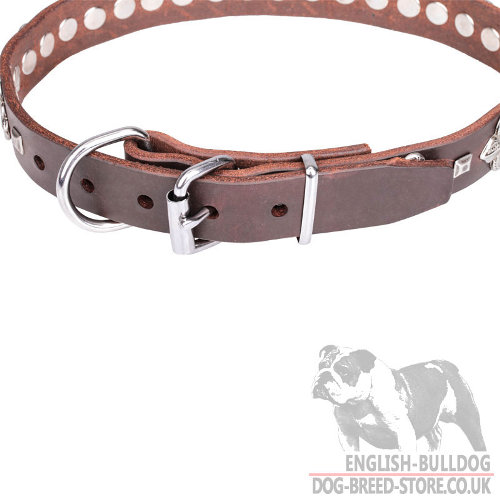 Best Type of Collar for English Bulldog