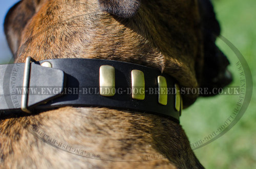 Boxer Dog Leather Collars