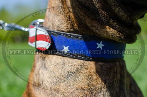 Boxer Leather Dog Collars