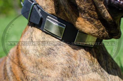 Boxer Leather Dog Collars