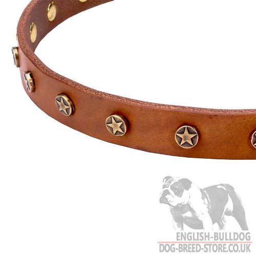 Bulldog Collar