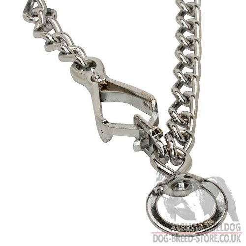 Bulldog Collar UK, Prong