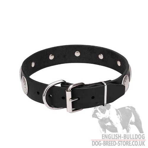 Super Cute Dog Collars UK