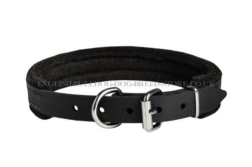 Bulldog Collars