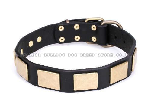 Dog Collar for Bullmastiff UK