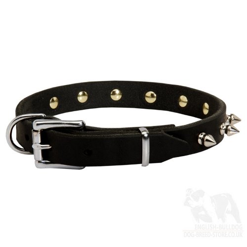 Bullmastiff Dog Collar