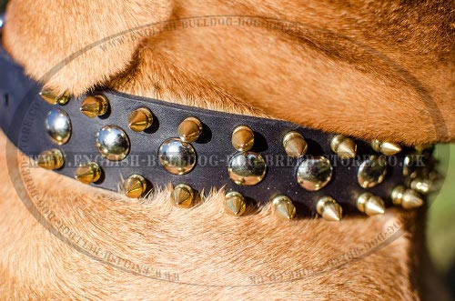 Bullmastiff Leather Collars