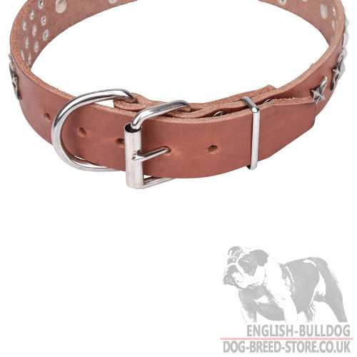 Dog Collar English Bulldog