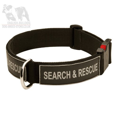 Training Collar for Boxer