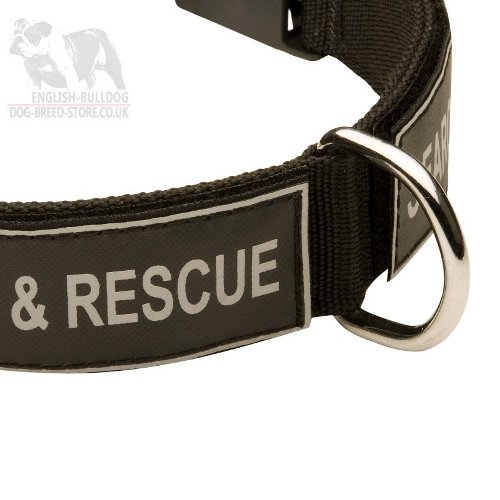 Dog Collar with Patches