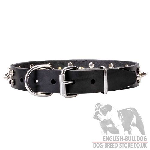 English Bulldog Collar for Sale