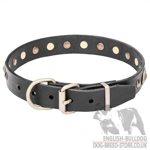 English Bulldog Collar for Sale