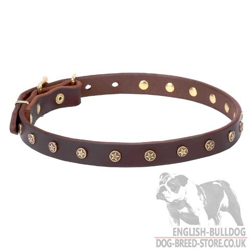 English Bulldog Collar