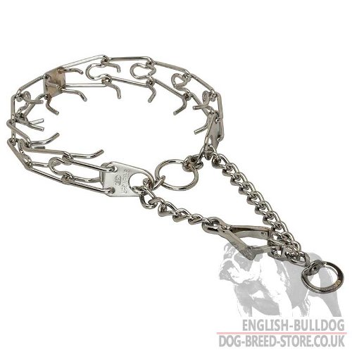 English Bulldog Collar, Prong