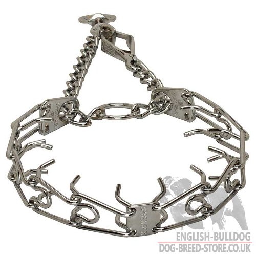 English Bulldog Collar UK, Pinch