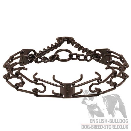 English Bulldog Collar UK with Black Prongs