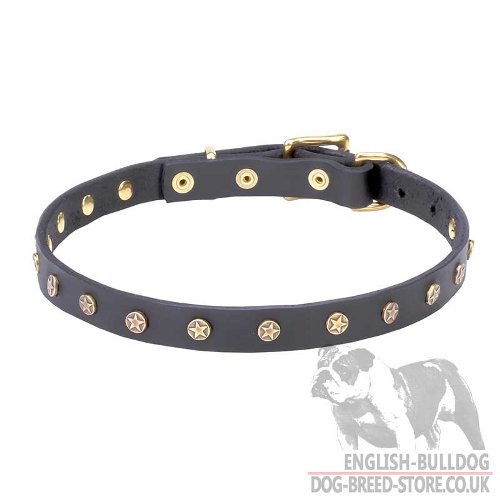 English Bulldog Collar UK