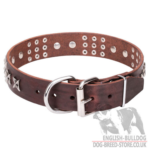 English Bulldog Collars for Sale