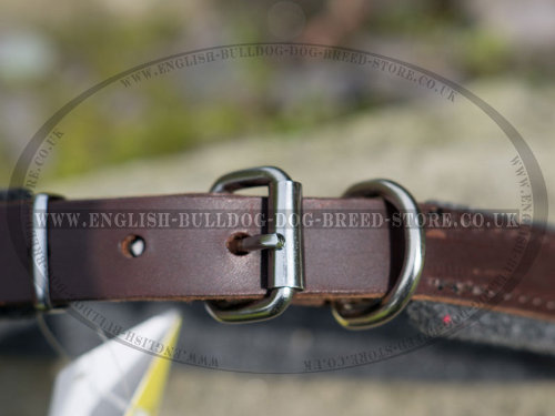 English Bulldog Collars UK