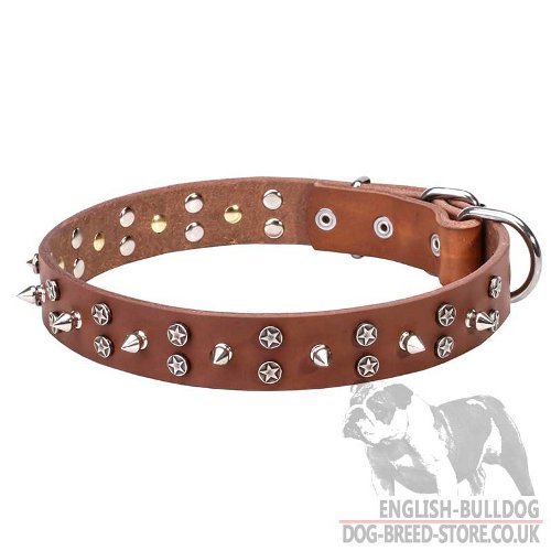 English Bulldog Collar UK