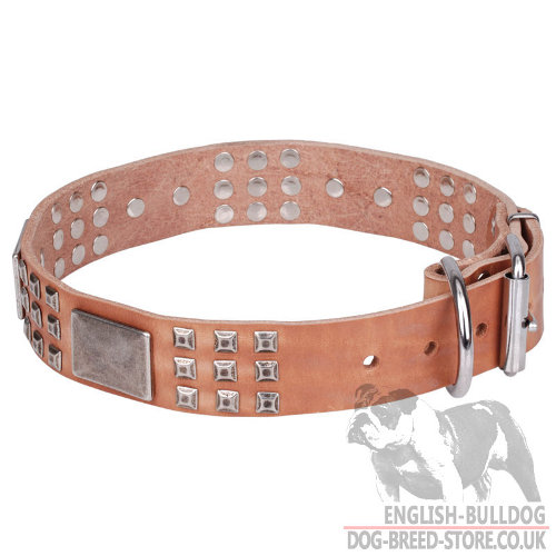 English Bulldog Dog Collars