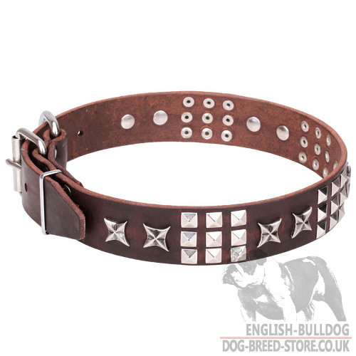 English Bulldog Dog Collars