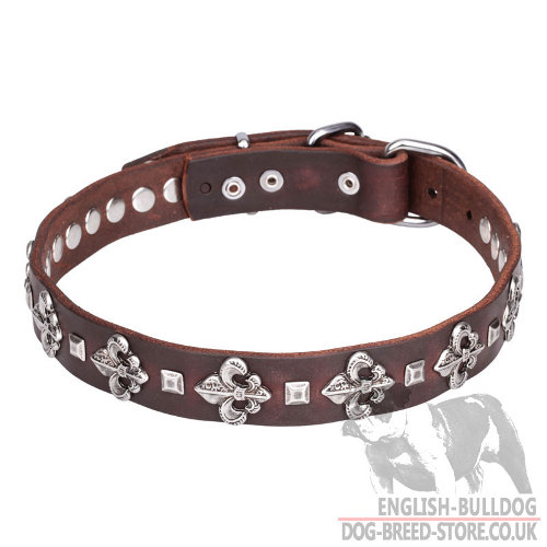 English Bulldog Leather Collar