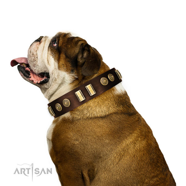 English Bulldog Leather Collars