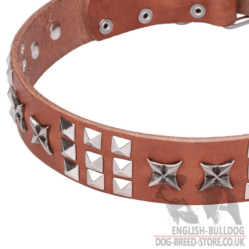 English Bulldog Leather Collars