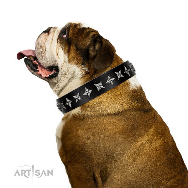 English Bulldog Leather Collars