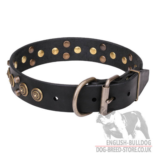 English Bulldog Leather Collars