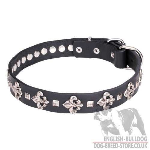 English Bulldog Leather Collars