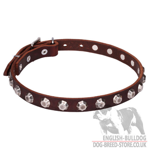 English Bulldog Leather Collars