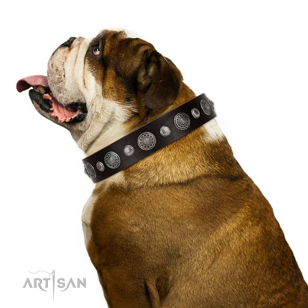 English Bulldog Leather Collars