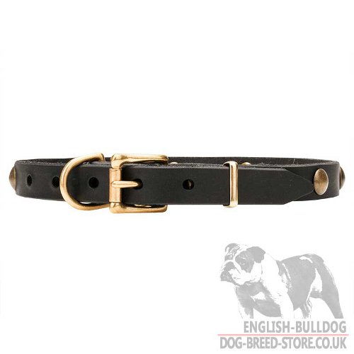 Narrow Width Dog Collars