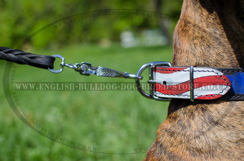 Leather Collars for Boxers