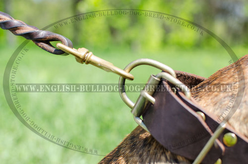 Leather Collars for Boxers